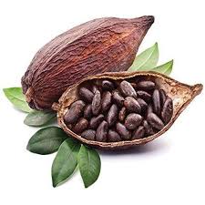 cocoa beans