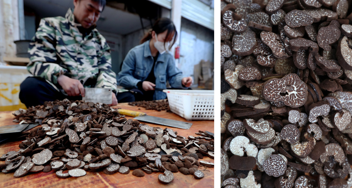chinese truffle